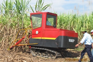 Chàng kỹ sư trẻ làm máy thu hoạch mía cho nông dân